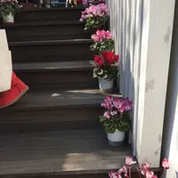 CANAL CAFE（カナルカフェ）の写真・動画_image_125774