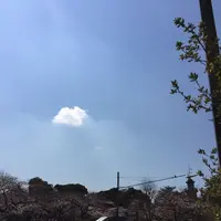 日本武道館の写真・動画_image_125775