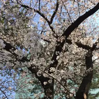 外濠公園の写真・動画_image_125779