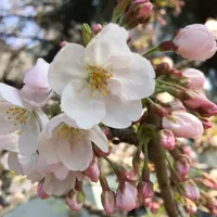 外濠公園の写真・動画_image_125780