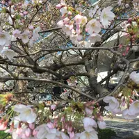 外濠公園の写真・動画_image_125781