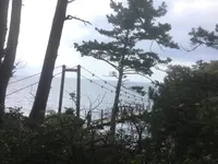 城ヶ崎海岸の写真・動画_image_126061