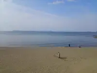 新舞子海水浴場の写真・動画_image_126224