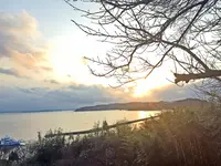 しおまち唐琴通りの写真・動画_image_126236