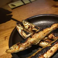 とうがらしの写真・動画_image_126244