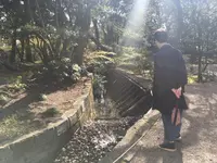 伝法院の写真・動画_image_126265