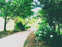 上用賀公園の写真・動画_image_126284