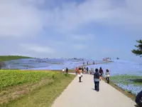 国営ひたち海浜公園の写真・動画_image_126298