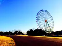 国営ひたち海浜公園の写真・動画_image_126299