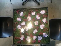 ニコライバーグマン ノム（Nicolai Bergmann NOMU ）の写真・動画_image_126338