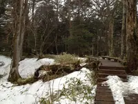 湯滝の写真・動画_image_126425