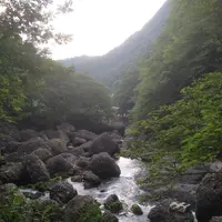 袋田の滝の写真・動画_image_126449