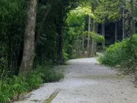 土佐神社の写真・動画_image_126473