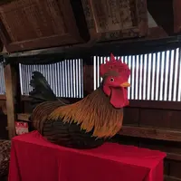 八千代座の写真・動画_image_126475
