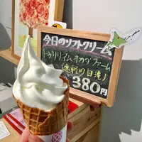 チーズのこえの写真・動画_image_126513