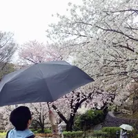 港の見える丘公園の写真・動画_image_126613