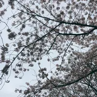 港の見える丘公園の写真・動画_image_126615