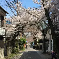 鎌倉宮の写真・動画_image_126704