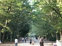 糺ノ森の写真・動画_image_126773