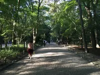 糺ノ森の写真・動画_image_126776