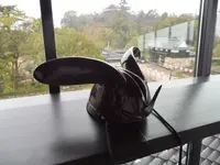 高知県立高知城歴史博物館の写真・動画_image_126810