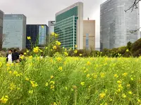 浜離宮恩賜庭園の写真・動画_image_126845