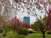 浜離宮恩賜庭園の写真・動画_image_126846