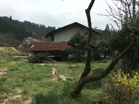 山川温泉の写真・動画_image_126927