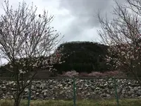 耶馬渓ダムスポーツ公園の写真・動画_image_126962