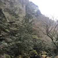 耶馬渓の写真・動画_image_126966