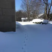 北海道開拓の村の写真・動画_image_127063