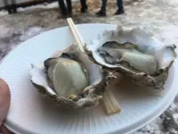 大通公園の写真・動画_image_127067