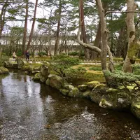 兼六園の写真・動画_image_127154