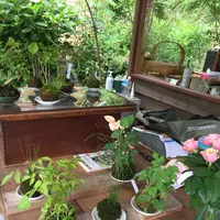 懐水集の写真・動画_image_127171