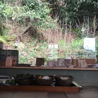 懐水集の写真・動画_image_127173
