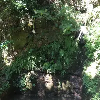懐水集の写真・動画_image_127178