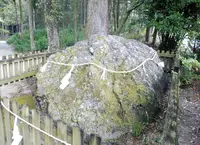 土佐神社の写真・動画_image_127339