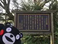 一心行の大桜の写真・動画_image_127344