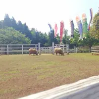 羊山公園の写真・動画_image_127361