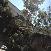 crisscross （クリスクロス）の写真・動画_image_127397