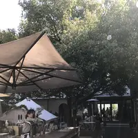 crisscross （クリスクロス）の写真・動画_image_127398