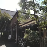 crisscross （クリスクロス）の写真・動画_image_127399