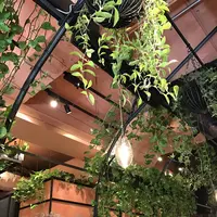 青山フラワーマーケット ティーハウス 南青山本店 （Aoyama Flower Market TEA HOUSE）の写真・動画_image_127422