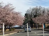 伊豆半島の写真・動画_image_127478