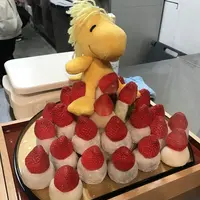 SNOOPY茶屋 京都錦店（スヌーピー茶屋）の写真・動画_image_127897