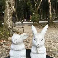 出雲大社の写真・動画_image_127958