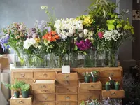 from afar（フロムアファー ）の写真・動画_image_128088