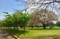 篠崎公園の写真・動画_image_128142