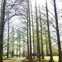 篠崎公園の写真・動画_image_128146