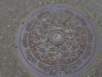 畑のしだれ桜の写真・動画_image_128181